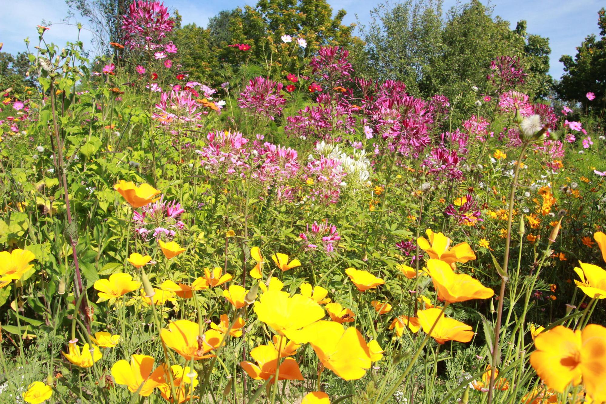 Peter Auerbach Garten