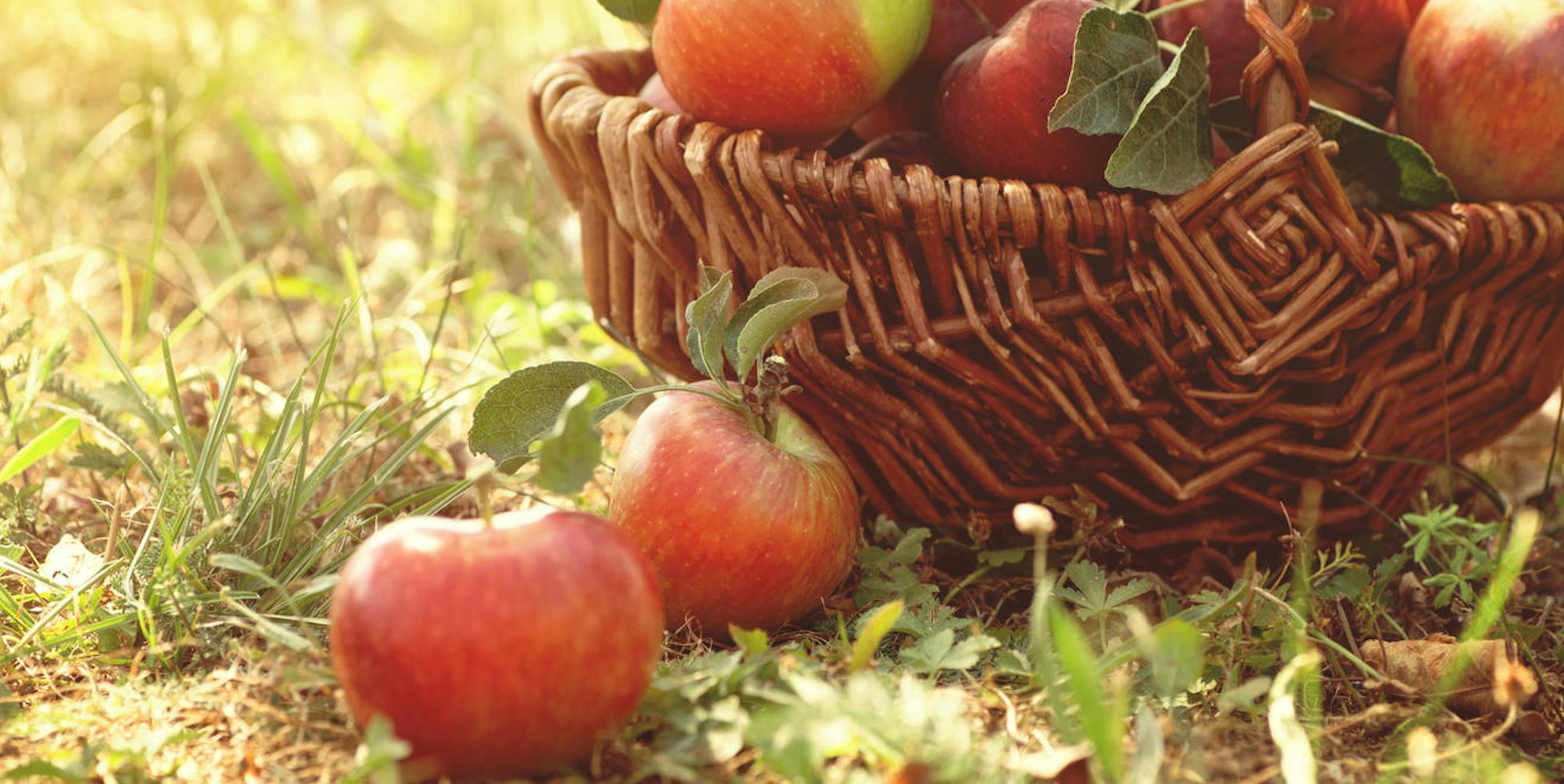 apfel korb getty