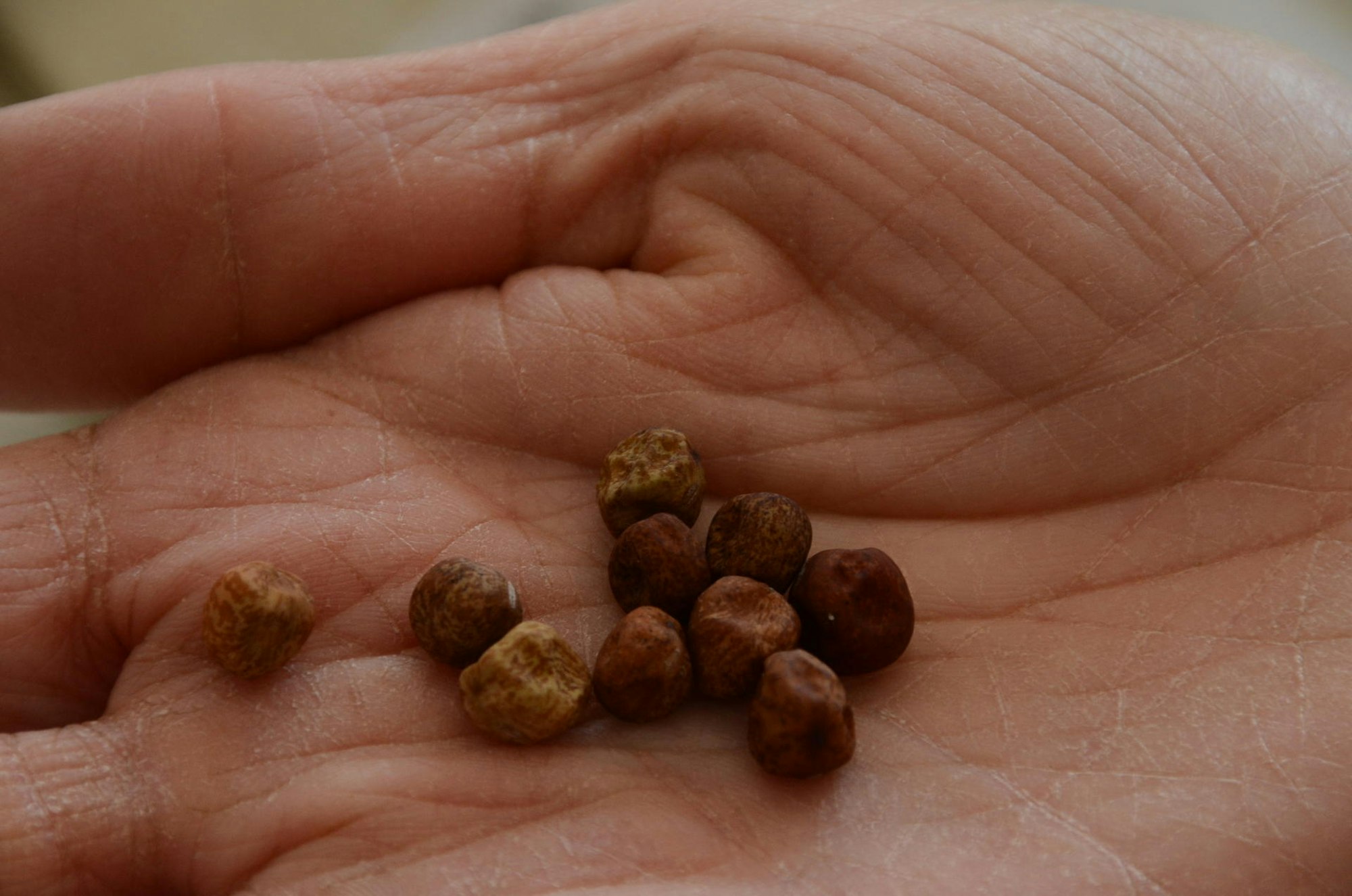 Naturschule_Aggerbogen2