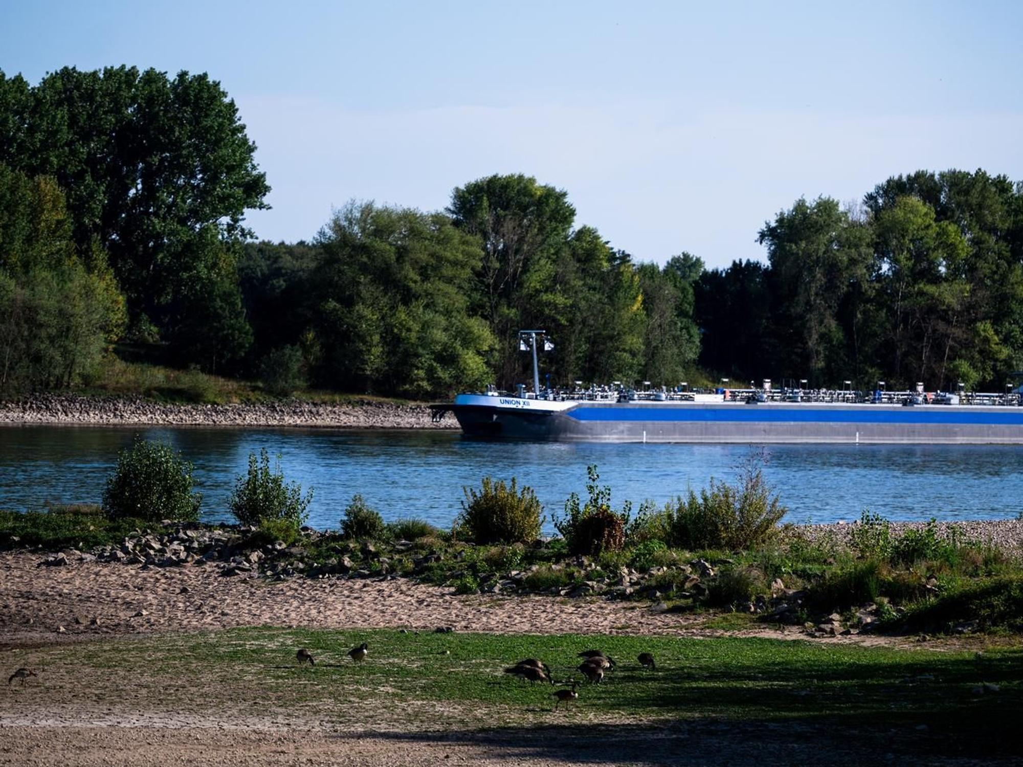 rheinpegelniedrig_16082022