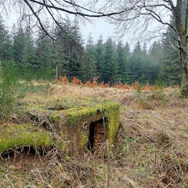 Zwangsarbeiter Dahlem_002