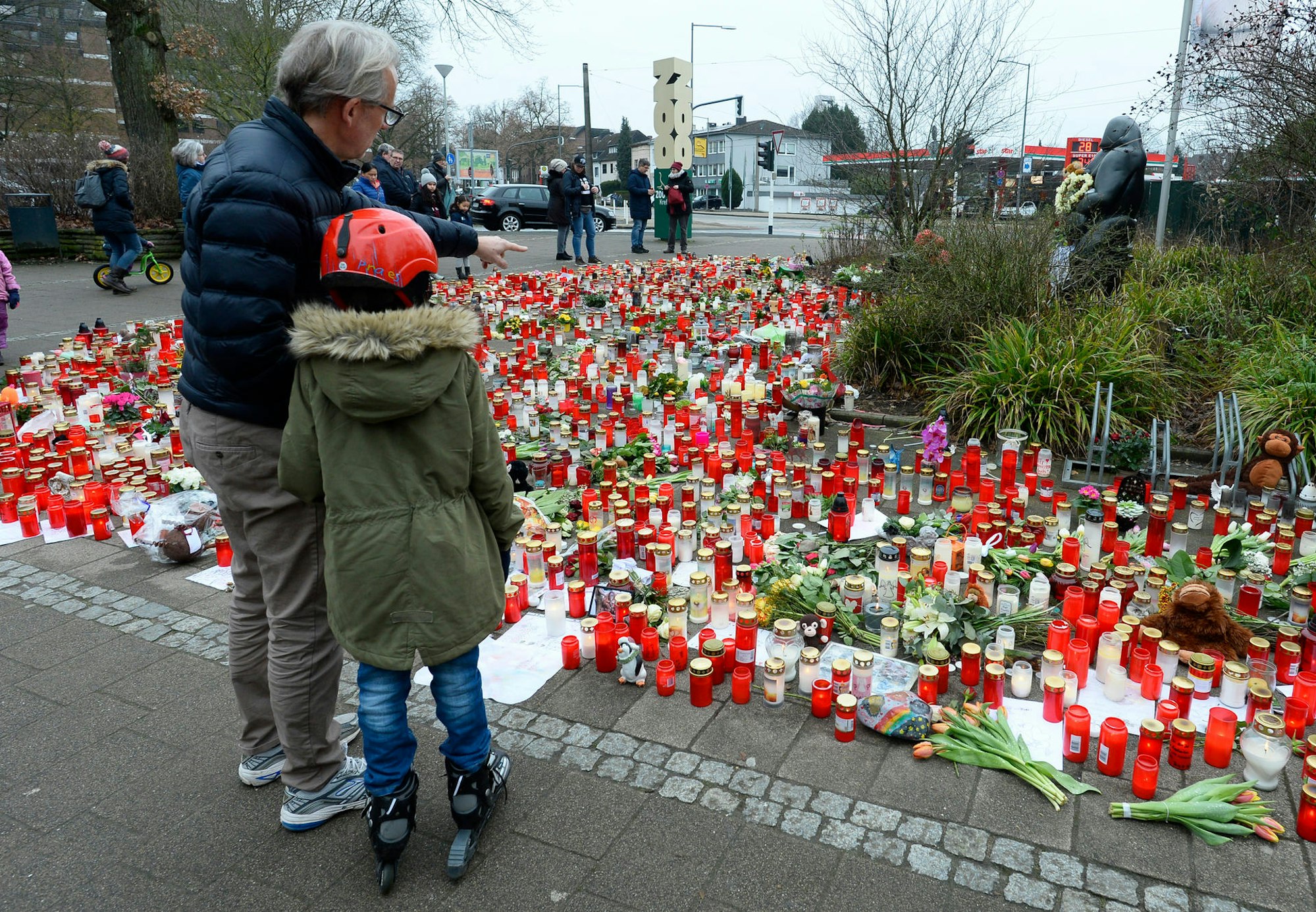 Trauer Affenhaus Krfeld