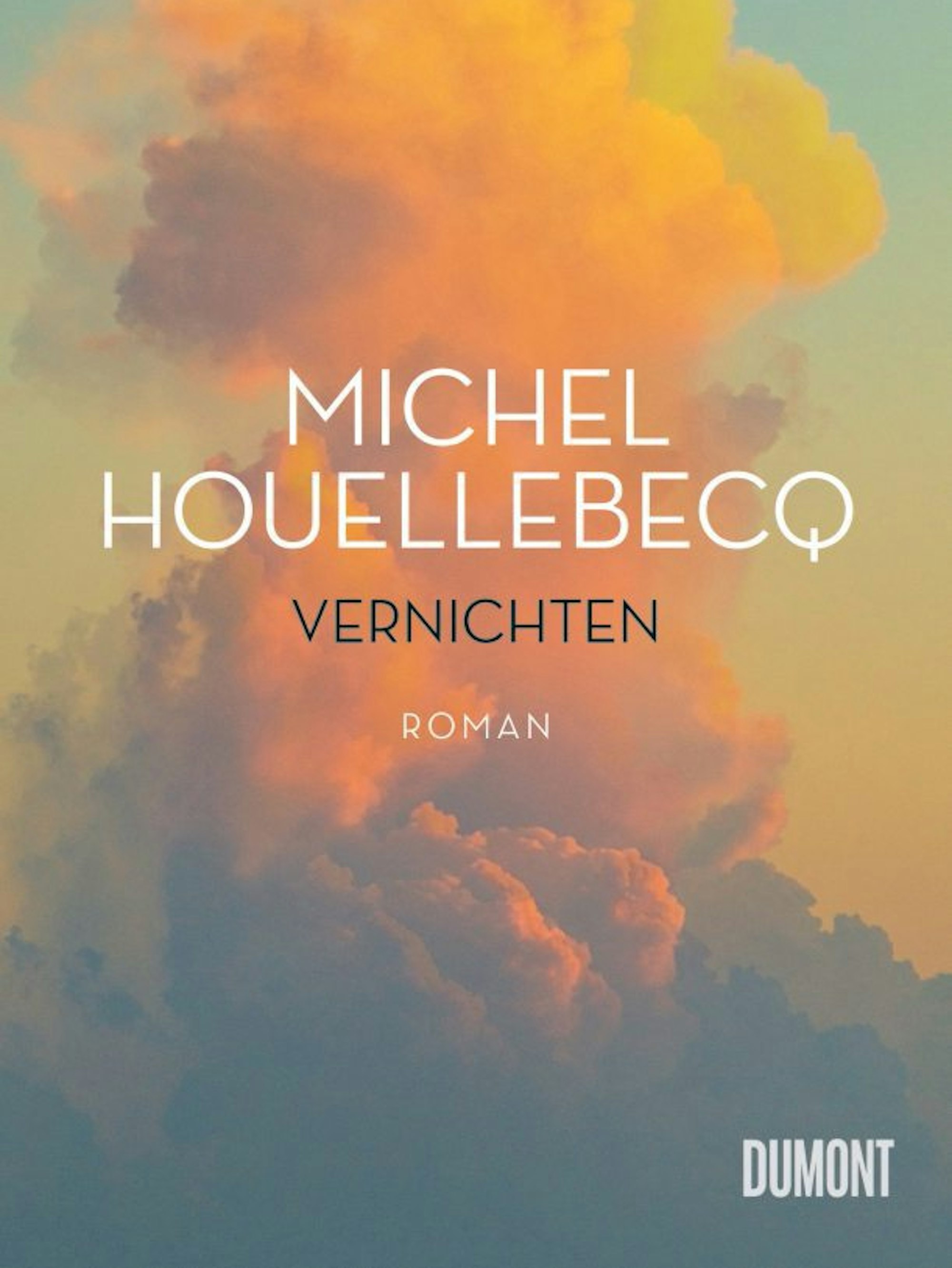 Vernichten von Houellebecq