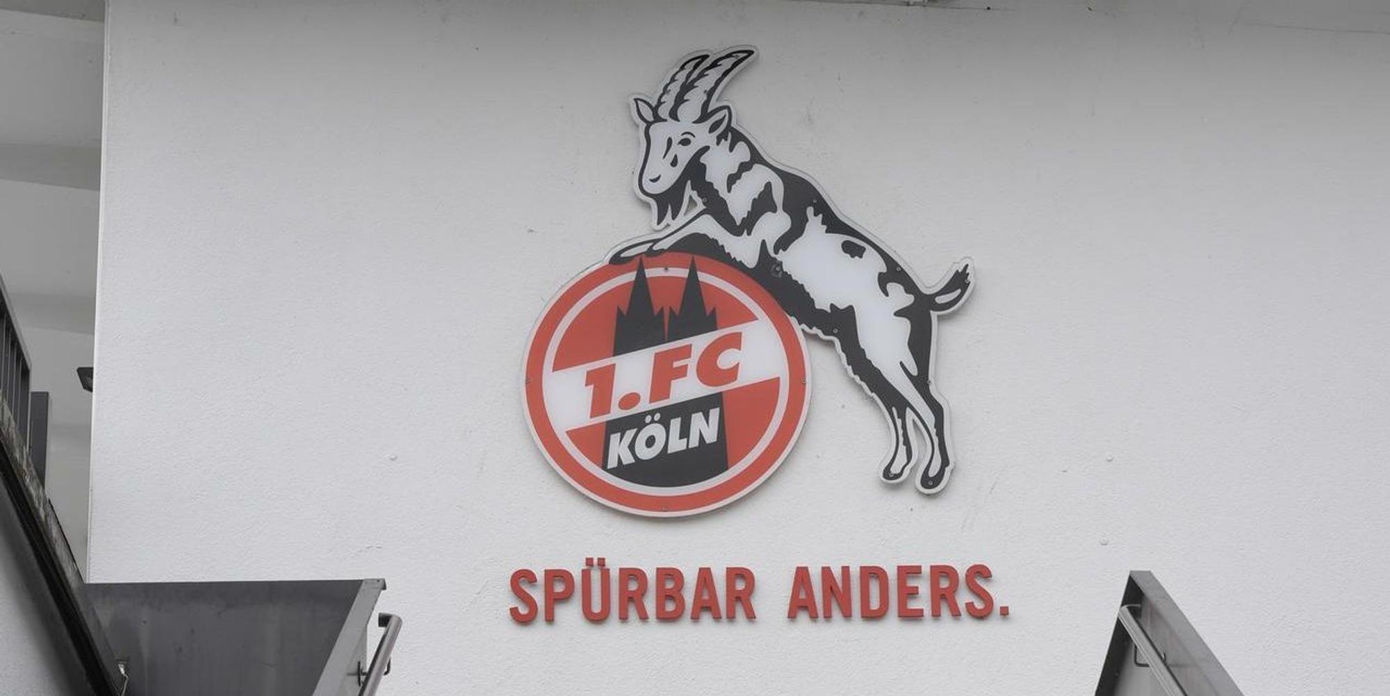 Neuer Inhalt