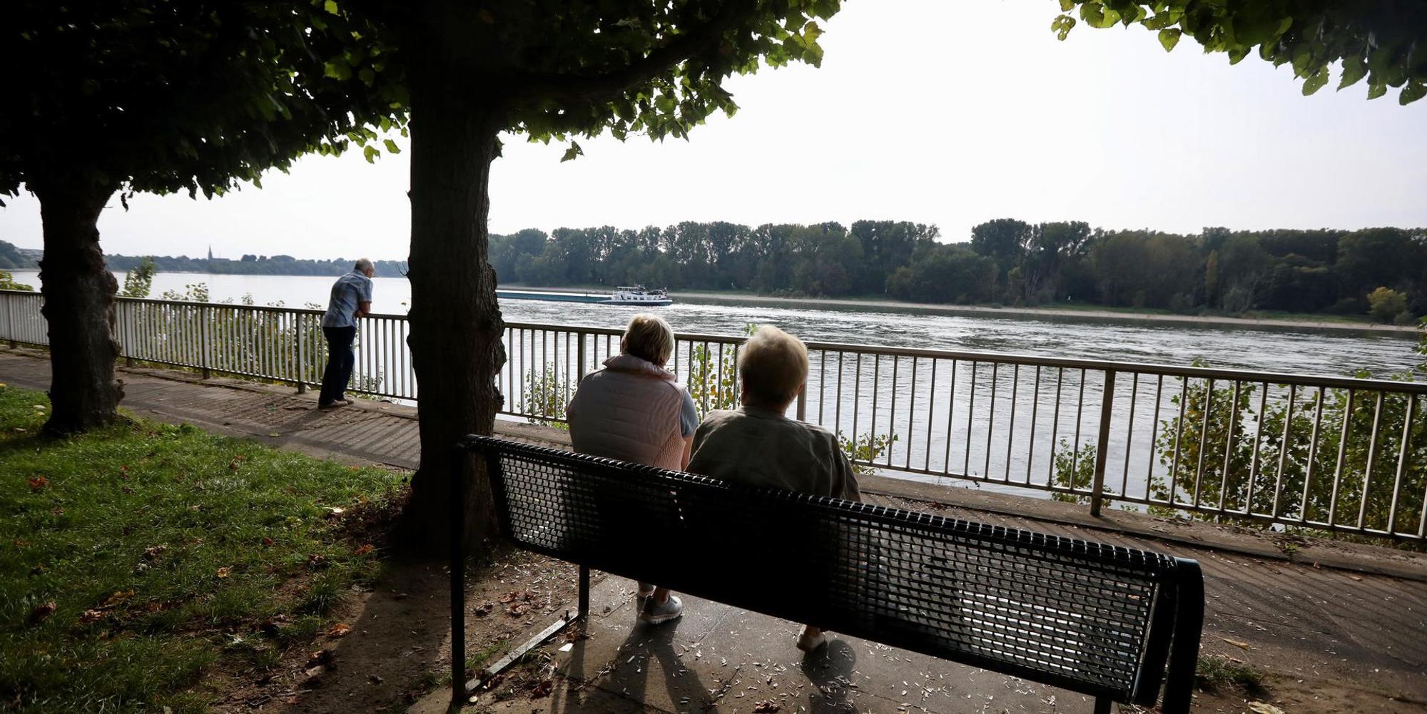 Header Rheinpromenade Porz