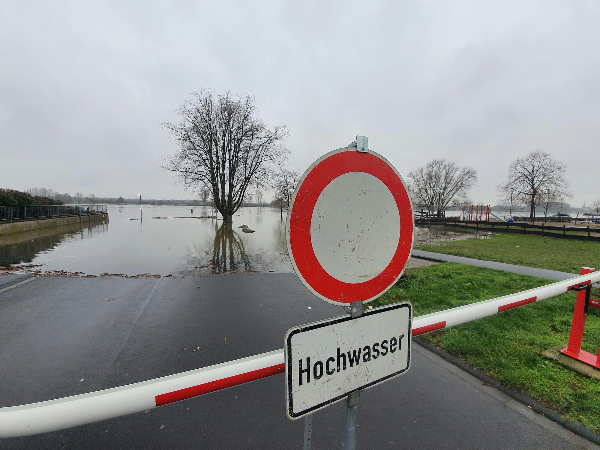 Hochwasser Niederkassel 1 010221